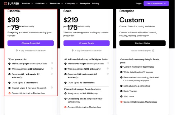 surferseo pricing
